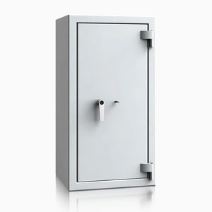szary RAL 7035 \ kluczowy