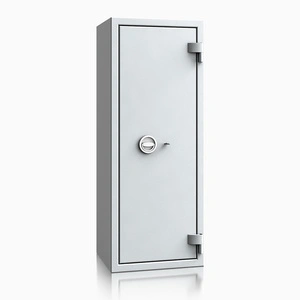 szary / RAL 7035 \ Kluczowy