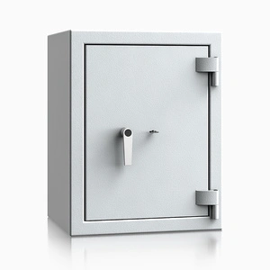 szary / RAL 7035 \ Kluczowy