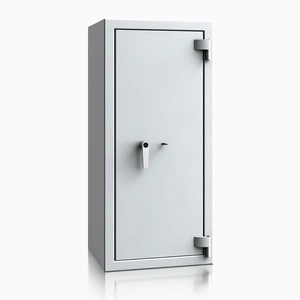 szary RAL 7035 \ kluczowy