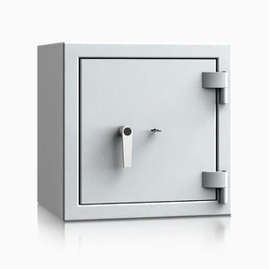 szary / RAL 7035 \ Kluczowy