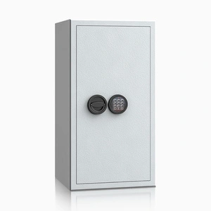 szary / RAL 7035 \ Elektroniczny