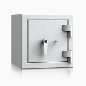 szary / RAL 7035 \ Kluczowy