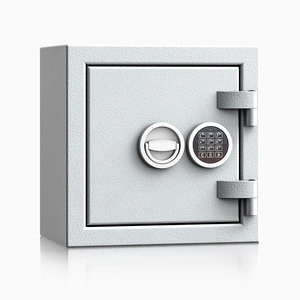 szary / RAL 7035 \ Elektroniczny