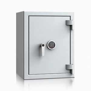 szary / RAL 7035 \ Elektroniczny