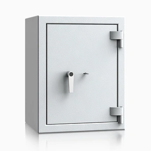 szary / RAL 7035 \ Kluczowy